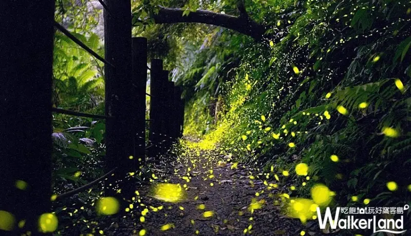 礁溪老爺酒店 / WalkerLand窩客島整理提供 未經許可，不得轉載