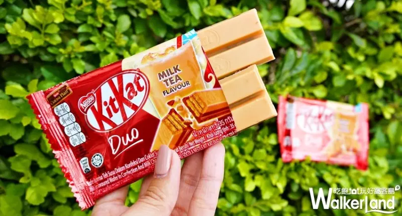 KitKat奶茶巧克力 / WalkerLand窩客島提供 未經許可，不得轉載