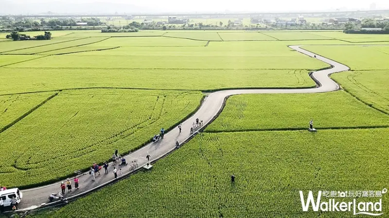 宜蘭版伯朗大道 / WalkerLand窩客島整理提供 未經許可不可轉載