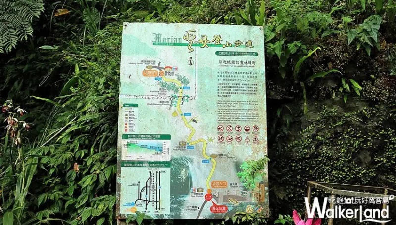 抹茶冰淇淋山 / WalkerLand窩客島整理提供 未經許可，不得轉載