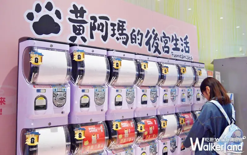 黃阿瑪的後宮生活扭蛋展 高雄場 / WalkerLand窩客島提供 未經許可，不得轉載