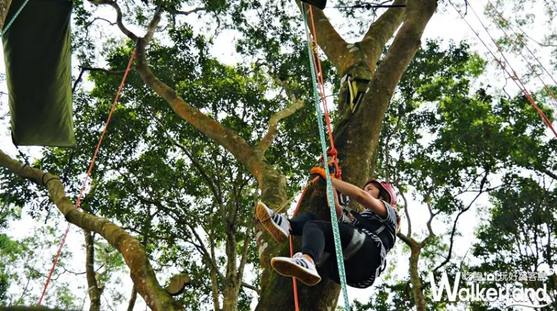 薰衣草森林 / WalkerLand窩客島提供 未經許可，不得轉載