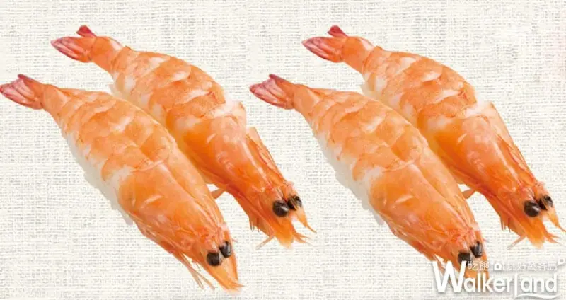 中和「壽司郎」/ WalkerLand窩客島整理提供 未經許可不可轉載