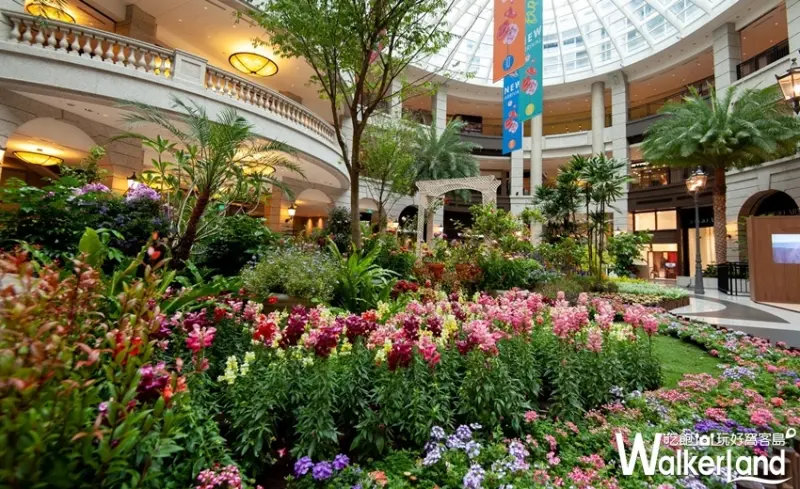 BELLAVITA / WalkerLand窩客島提供