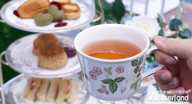 Wedgwood / WalkerLand窩客島提供 未經許可，不得轉載