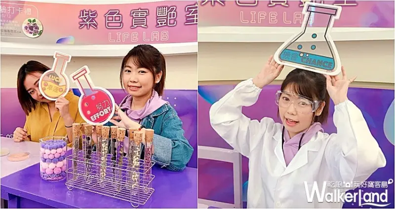 紫色實艷室 LIFE LAB / WalkerLand窩客島整理提供 未經許可，不得轉載