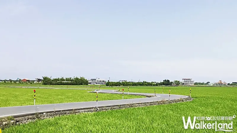 宜蘭版伯朗大道 / WalkerLand窩客島整理提供 未經許可不可轉載