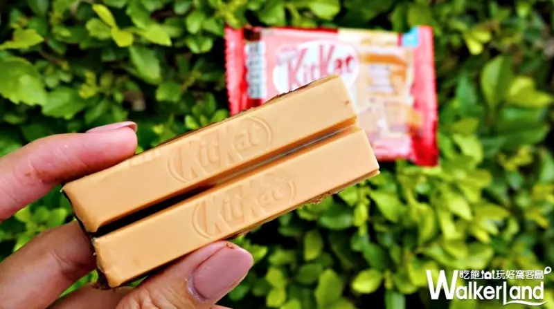 KitKat奶茶巧克力 / WalkerLand窩客島提供 未經許可，不得轉載
