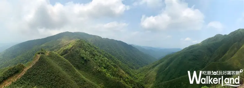 抹茶冰淇淋山 / WalkerLand窩客島整理提供 未經許可，不得轉載