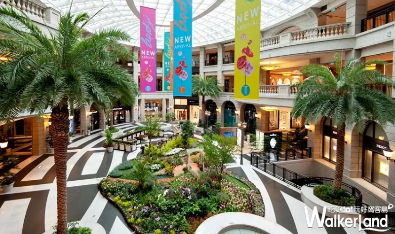 BELLAVITA / WalkerLand窩客島提供