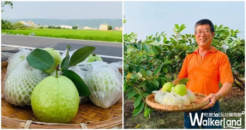 雨林餐廳 / WalkerLand窩客島整理提供 未經許可，不得轉載