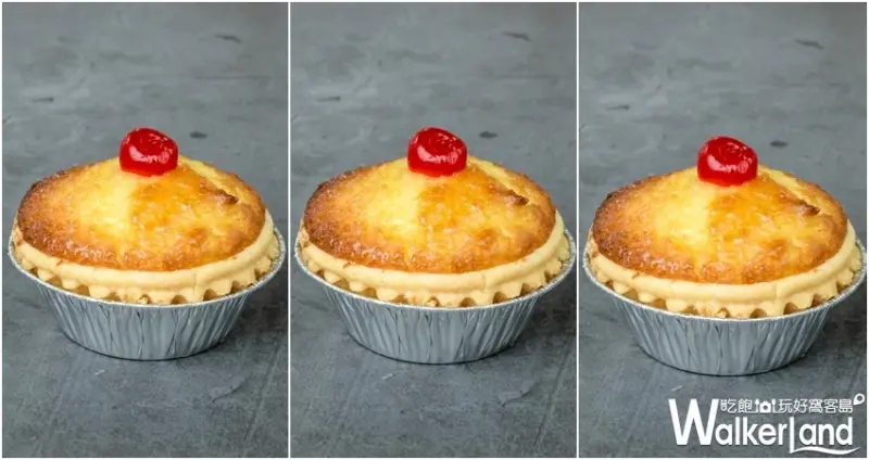 板橋泰昌餅家「招牌椰撻」 / WalkerLand窩客島整理提供 未經許可不可轉載