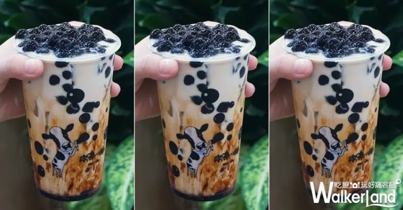 喫茶小舖  / WalkerLand窩客島提供 未經許可，不得轉載