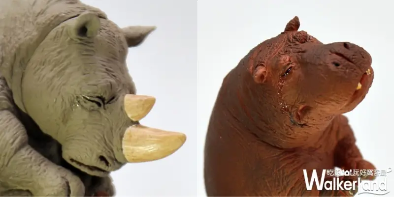 Animal Life可不可以不勇敢 / WalkerLand窩客島提供 未經許可，不得轉載