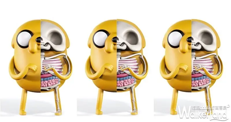 玩具解剖展 JASON FREENY ASIA / WalkerLand窩客島整理提供 未經許可，不得轉載