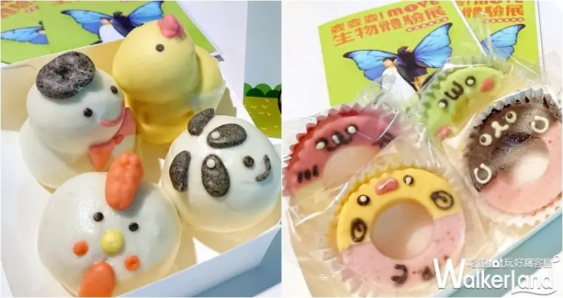 變變變！MOVE生物體驗展 高雄場 / WalkerLand窩客島整理提供 未經許可，不得轉載