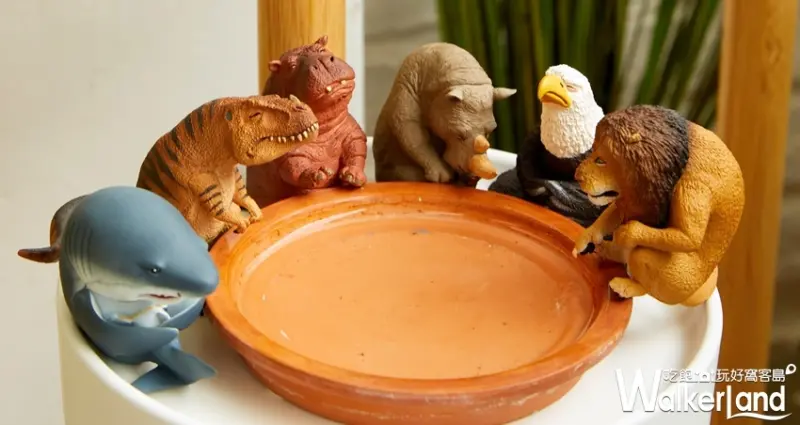 Animal Life可不可以不勇敢 / WalkerLand窩客島提供 未經許可，不得轉載