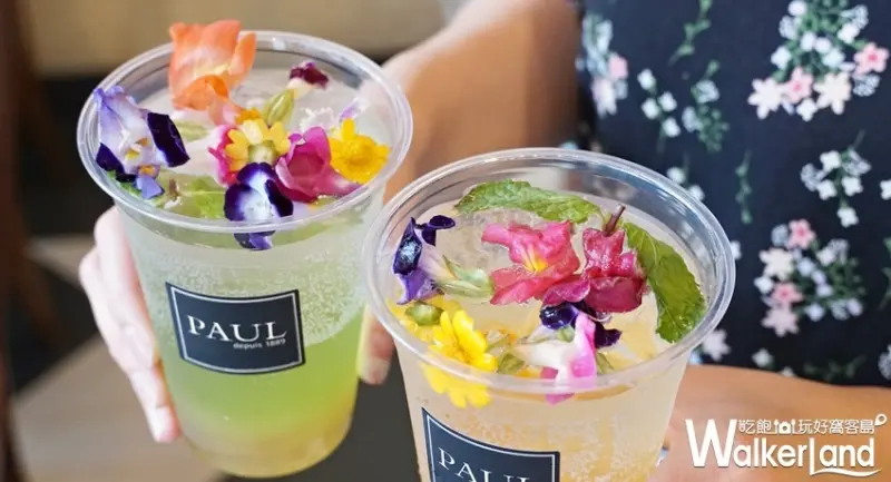 PAUL / WalkerLand窩客島提供 未經許可，不得轉載