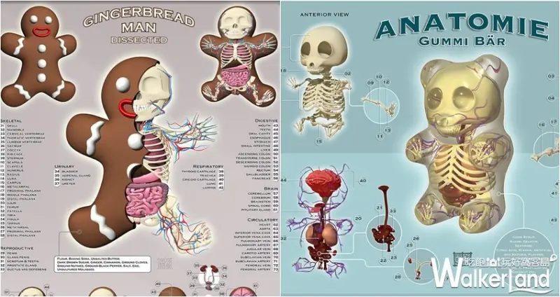 玩具解剖展 JASON FREENY ASIA / WalkerLand窩客島整理提供 未經許可，不得轉載