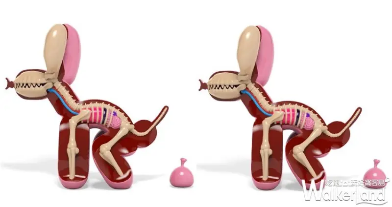 玩具解剖展 JASON FREENY ASIA / WalkerLand窩客島整理提供 未經許可，不得轉載