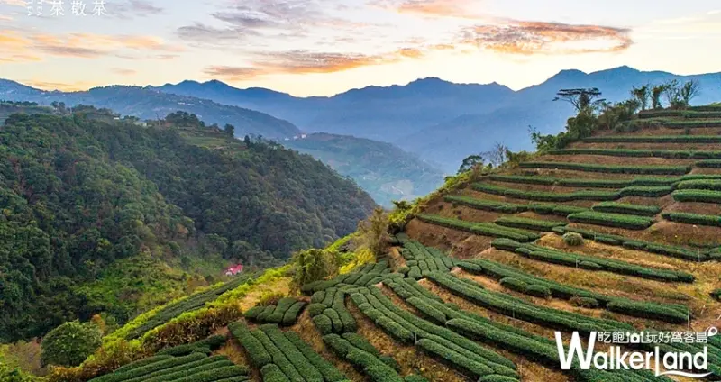 台北永康街文青茶飲店「茶敬茶」 / WalkerLand窩客島整理提供 未經許可不可轉載