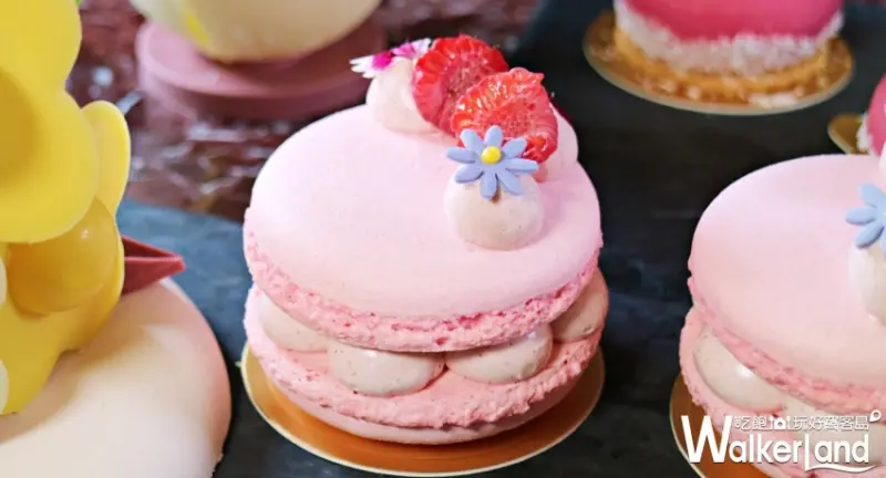 紅寶石巧克力(Ruby Chocolate) / WalkerLand窩客島整理提供 未經授權不可轉載