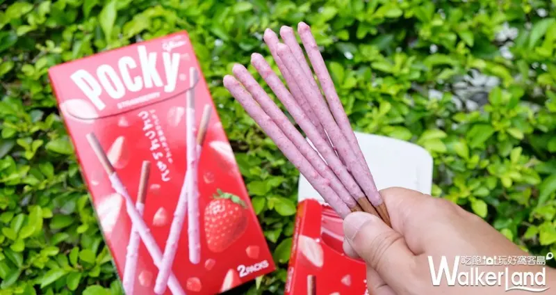 「Pocky草莓果肉巧克力棒」全聯開賣/ WalkerLand窩客島整理提供 未經許可不可轉載