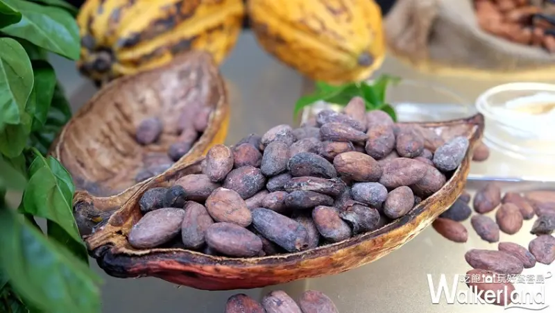 GODIVA PURE Land快閃 / WalkerLand窩客島整理提供 未經許可不可轉載