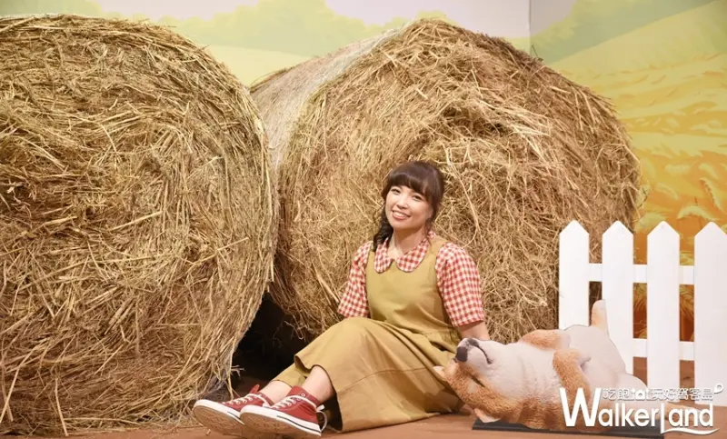 夢遊休眠動物園 / WalkerLand窩客島提供 未經許可，不得轉載