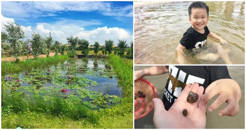 台中大甲美食 匠師的故鄉