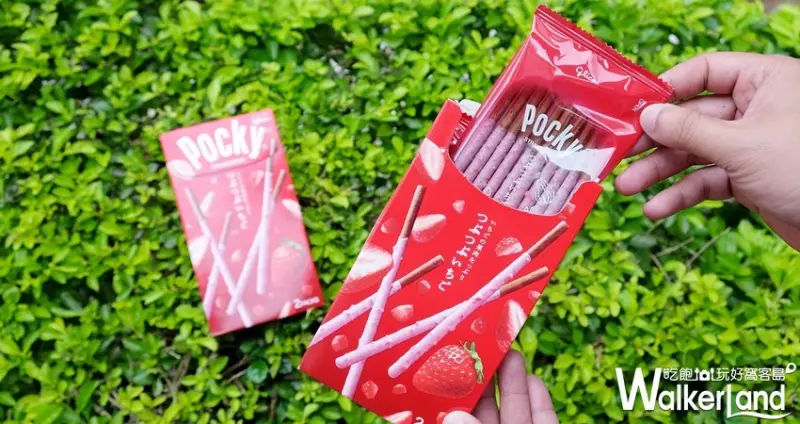 「Pocky草莓果肉巧克力棒」全聯開賣/ WalkerLand窩客島整理提供 未經許可不可轉載