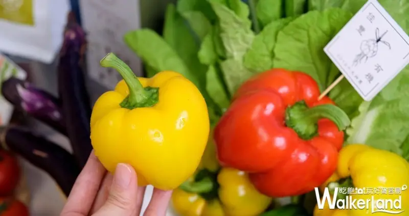 SOGO忠孝館「2019夏天的小農展」 / WalkerLand窩客島整理提供 未經許可不可轉載