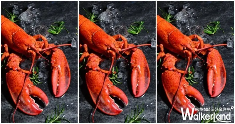 君品酒店雲軒西餐廳/ WalkerLand窩客島整理提供 未經許可，不得轉載