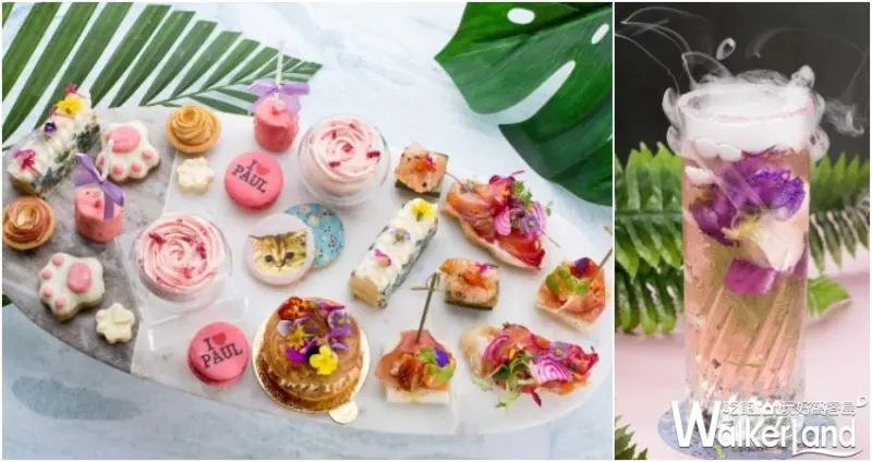 S HOTEL  / WalkerLand窩客島整理提供 未經許可，不得轉載