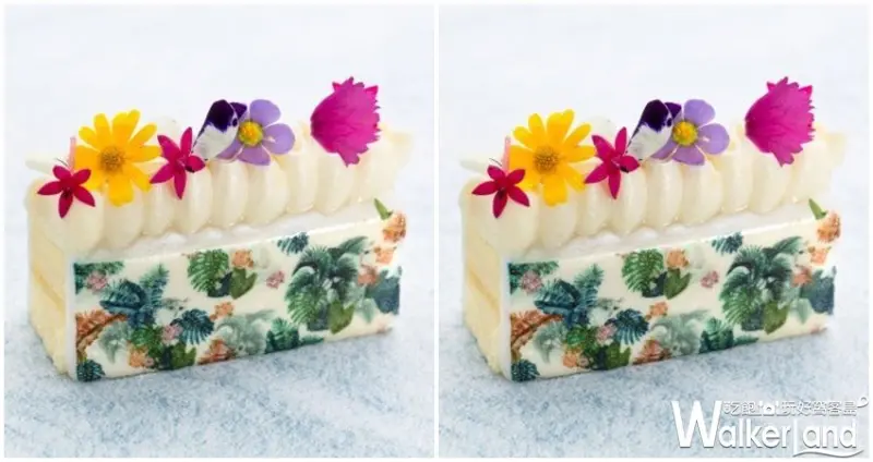 S HOTEL  / WalkerLand窩客島整理提供 未經許可，不得轉載