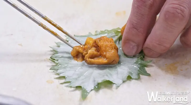 金子半之助 / WalkerLand窩客島提供 未經許可，不得轉載