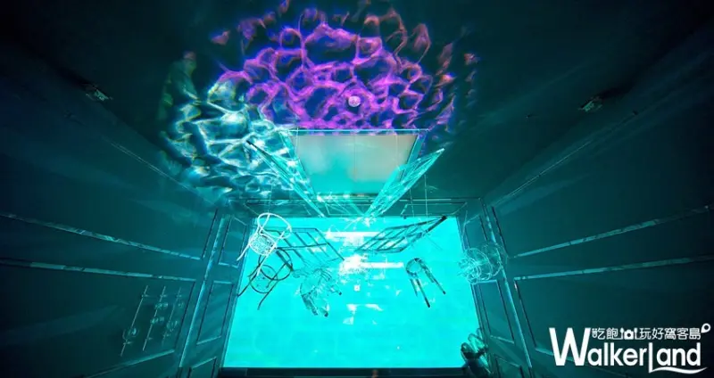 跳進兔子洞—愛麗絲夢遊奇境體驗展 / WalkerLand窩客島整理提供 未經許可，不得轉載