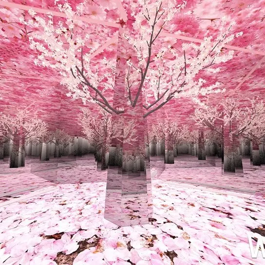 網美一定要朝聖！暑假登場「幻•彩•影萬花筒特展」打造絕美迷幻鏡像花園，再加碼早鳥優惠「買一送一」搶攻IG網美打卡新歡。