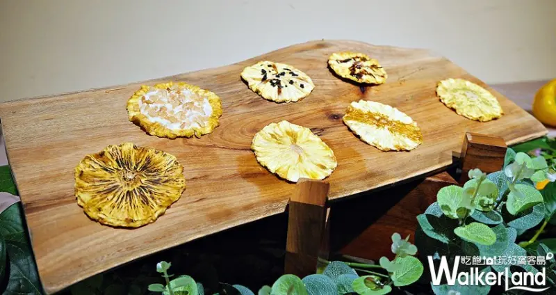 The One X 灣聲樂團 莊園音樂會 / WalkerLand窩客島提供 未經許可，不得轉載