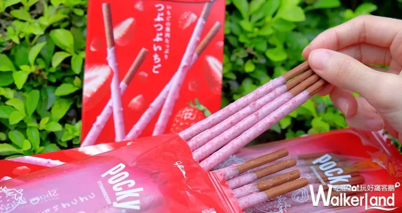 「Pocky草莓果肉巧克力棒」全聯開賣/ WalkerLand窩客島整理提供 未經許可不可轉載