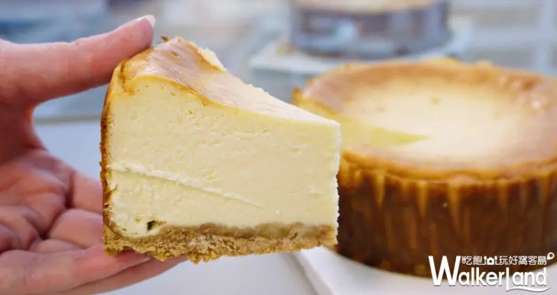 義美日式重乳酪芝士塔 / WalkerLand窩客島提供 未經許可，不得轉載