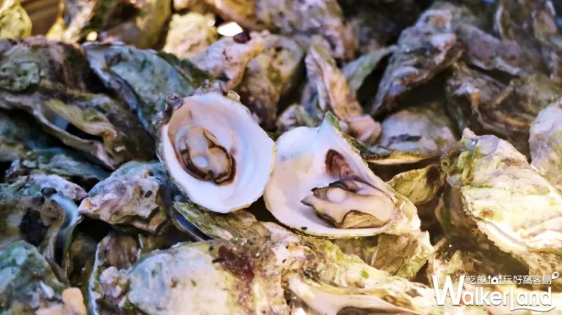 澎湖喜來登 / WalkerLand窩客島整理提供 未經授權不可轉載