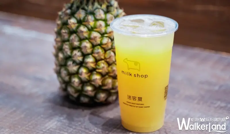 迷客夏 / WalkerLand窩客島提供 未經許可，不得轉載