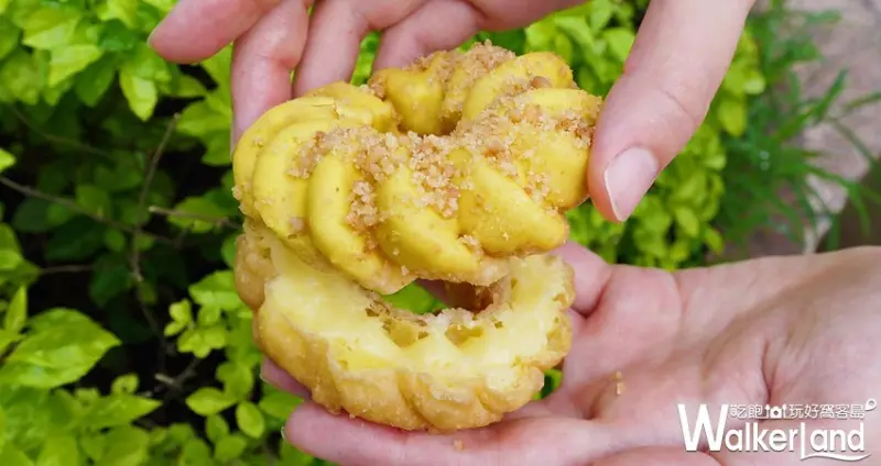 Mister Donut地中海檸檬圈 / WalkerLand窩客島提供 未經許可，不得轉載