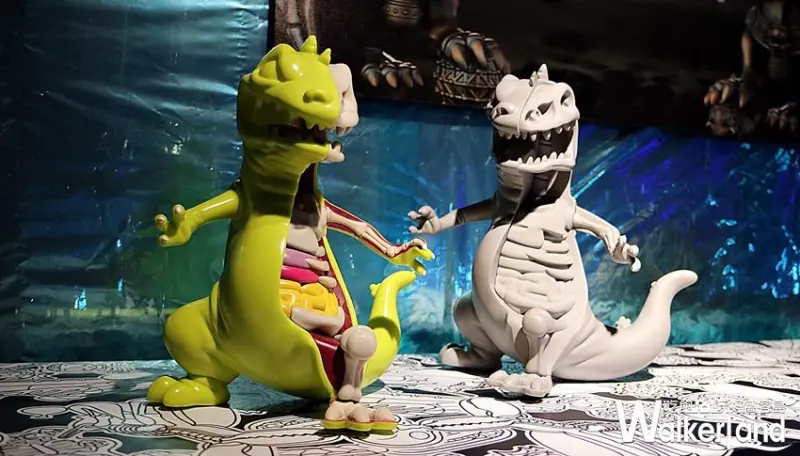 玩具解剖展JASON FREENY ASIA亞洲首展 / WalkerLand窩客島整理提供 未經許可，不得轉載