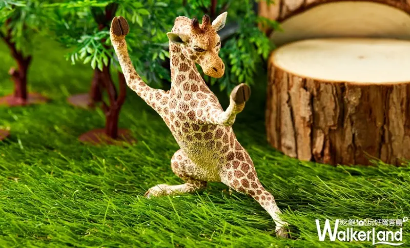 Animal Life / WalkerLand窩客島提供 未經許可，不得轉載