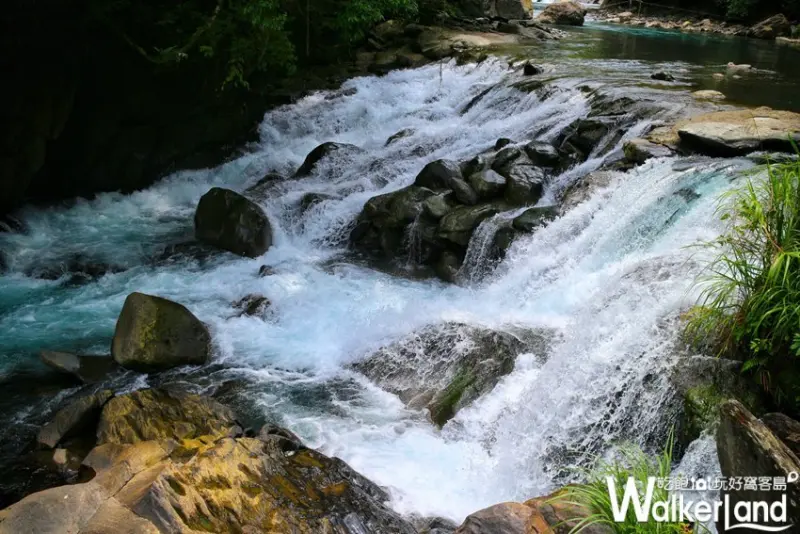 烏來福山-幸福德拉楠 大羅蘭溪