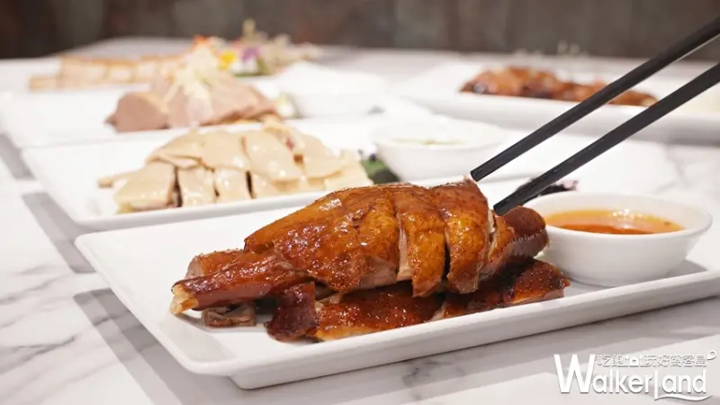 金鳳錦  / WalkerLand窩客島提供 未經許可，不得轉載