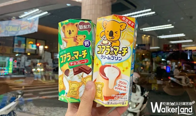 LOTTE 樂天小熊餅乾 / WalkerLand窩客島整理提供 未經授權不可轉載