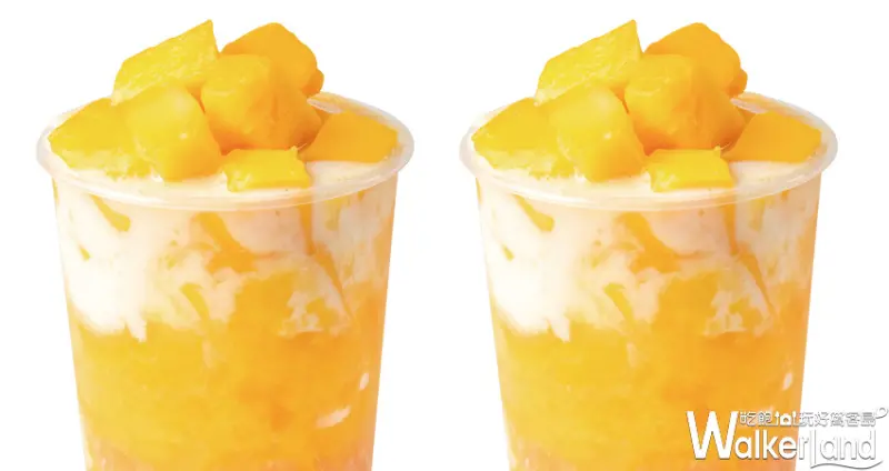 麻古茶坊 楊枝甘露 / WalkerLand窩客島整理提供 未經許可不可轉載